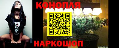 прущий лед Аша