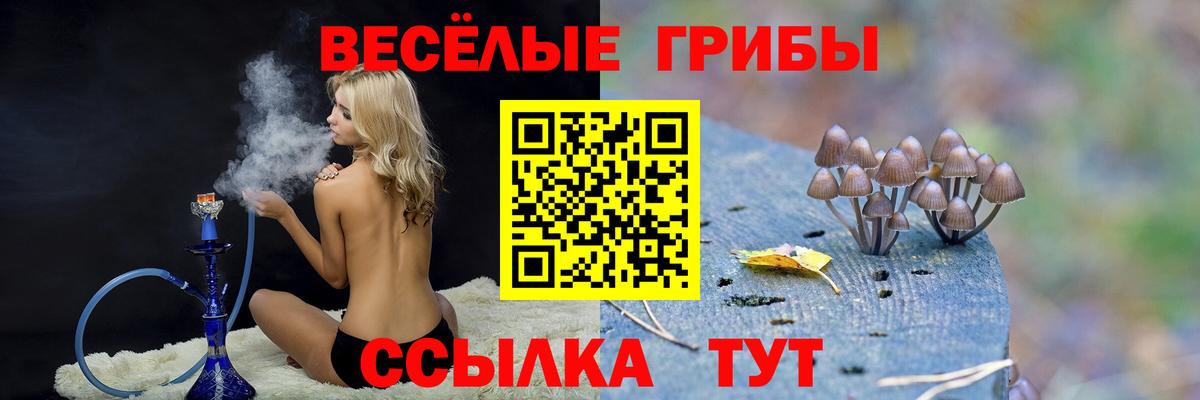 Зеленокумск  Псилоцибиновые грибы Psilocybe  Вход с VPN 